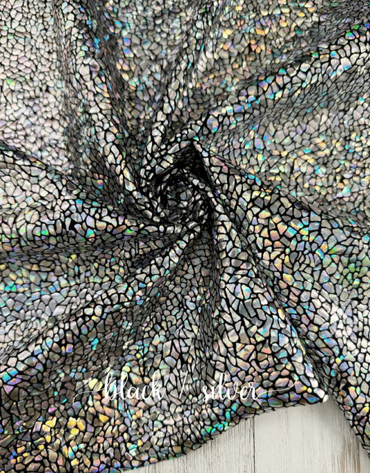 Black/Silver Snake